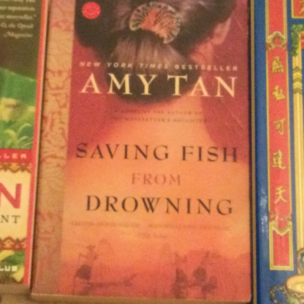 Amy Tan Collection - Picture 10 of 12